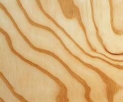 Clean plywood texture with natural grain patterns on smooth surface photo