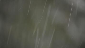 Blurred rain streaks create abstract closeup background, adding dramatic mood to the scene video