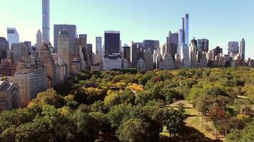 Central Park Skyline View on a Sunny Day Showcasing Lush Greenery and Skyscrapers video