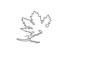 Animated self drawing of continuous line draw of half sliced healthy organic raw bitter gourd for farm logo identity. Fresh bitter melon concept for vegetable icon. Full length single line animation video