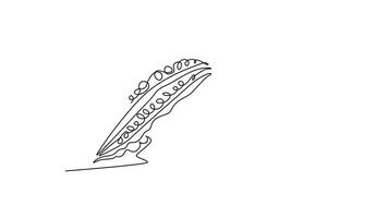 Animated self drawing of continuous line draw of whole and sliced healthy organic bitter gourd for garden logo identity. Fresh Indonesian pare concept for veggie icon. Full length one line animation video