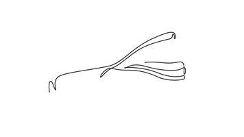 Self drawing animation of single line draw of whole healthy freshness organic leek for plantation logo identity. Fresh ingredient concept for vegetable icon. Continuous line draw. Full length animated video