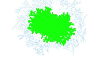 gelo transição variante cor verde tela video