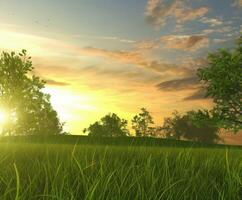 Green Meadow Under a Vibrant Sunset With Silhouetted Trees in the Background photo