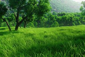 Lush Green Meadow Bathed in Morning Light Surrounded by Vibrant Trees photo