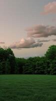 Meadow at Sunset Surrounded by Lush Trees Under a Colorful Sky photo