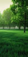 Morning Light Illuminates Lush Green Meadow With Trees in Tranquil Setting photo