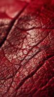 Close-Up of Red Leather Material With Intricate Textures and Patterns photo