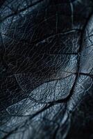 Detailed Close-Up of Black Leather Surface With Unique Texture photo