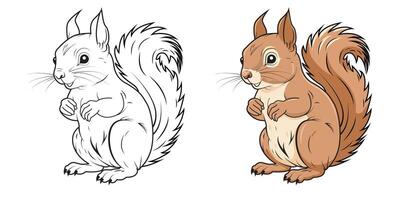 A set of squirrels, one outlined and one colored. Cute squirrels in a cartoon style. vector