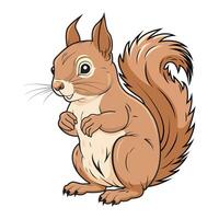 A painted squirrel. A cute squirrel in a cartoon style. vector