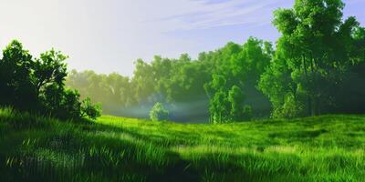Morning Light Shines on Lush Green Meadow Surrounded by Vibrant Trees photo