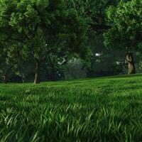Morning Light Illuminates a Lush Green Meadow Surrounded by Trees photo