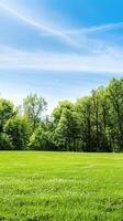 Morning Serenity in a Lush Green Meadow Surrounded by Vibrant Trees photo