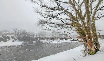 Snowing at village near thr river. photo