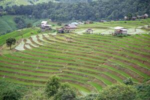 View of rice field on the mountain. photo