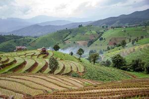 Rice field on the mountain and beautiful sky. photo