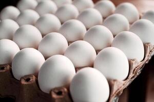 eggs rows pattern box food background photo
