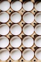 eggs rows pattern box food background photo