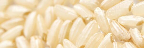 A background of dry brown rice grains showcases the integral, uncooked basmati texture. The macro view highlights the raw nature of this organic, whole food. Horizontal banner photo