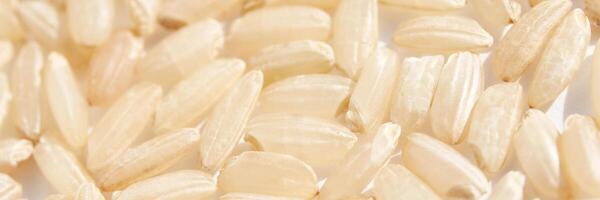 A background of dry brown rice grains showcases the integral, uncooked basmati texture. The macro view highlights the raw nature of this organic, whole food. Horizontal banner photo