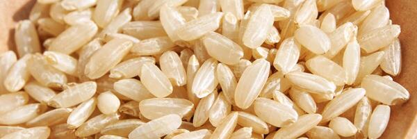 A background of dry brown rice grains showcases the integral, uncooked basmati texture. The macro view highlights the raw nature of this organic, whole food. Horizontal banner photo
