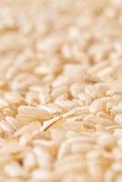 A background of dry brown rice grains showcases the integral, uncooked basmati texture. The macro view highlights the raw nature of this organic, whole food. photo