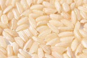 A background of dry brown rice grains showcases the integral, uncooked basmati texture. The macro view highlights the raw nature of this organic, whole food. photo