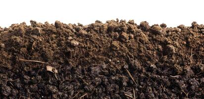 Soil, Isolated on White photo