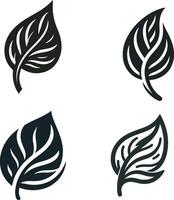 Elegant Leaf Design Minimalist Botanical Art vector