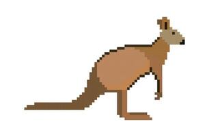 Pixel character of Kangaroo. Kangaroo pixel design on white background. vector