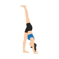 Woman doing Standing Split Pose, One Legged Extended Forward Bend yoga exercise. vector
