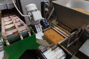 Grain sorting machine, Paddy machine sorts grains of one crop, separates grain peeling products photo
