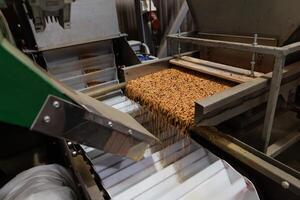 Grain sorting machine, Paddy machine sorts grains of one crop, separates grain peeling products photo