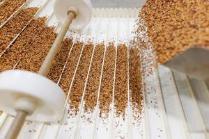 Grain sorting machine, Paddy machine sorts grains of one crop, separates grain peeling products photo