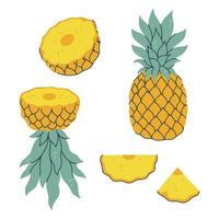 Set of pineapple and pieces isolate on white background. graphics. vector