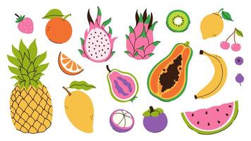 Set of juicy tropical fruits isolate on white background. graphics vector