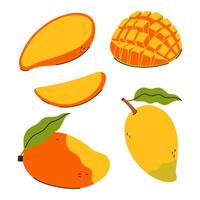 Set of mango and mango slice isolate on white background. graphics. vector