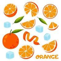 Set of sweet oranges and ice cubes in flat style. Citrus fruit. Ingredient for drinks and desserts. vector