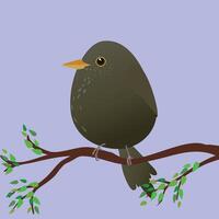 A very cute female blackbird in the shape of an egg. Lilac background. The bird sits on a branch with green leafs. vector