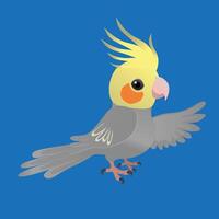 An illustration of a cute male cockatiel, His crest is up and he looks friendly at you. His left wing is up as if he is showing you something. The background is blue. vector
