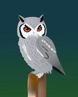 An illustration of a white faced owl. Blue green gradient background. The bird is perched on a pole and he turns his head towards the viewer. vector