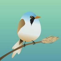 A very cute bearded reedling in the shape of an egg. Green blue gradient background. The bird sits on reed stalk. vector