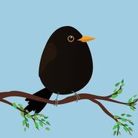 A very cute blackbird in the shape of an egg. Blue background. The bird sits on a branch with green leafs. vector