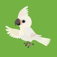 An illustration of a cute Goffin's cockatoo, His crest is up and he looks friendly at you. His left wing is up as if he is showing you something. The background is green. vector