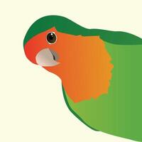 A drawing in color of a funny peach faced lovebird, also called a rosy faced lovebird. The green red bird looks from the right side of the picture as if he is peeking around the corner vector