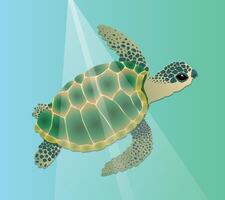 An illustration of a sea turtle swimming underwater. The reptile is green with a blue color and he has spots in a dark blue green shade on his head and legs. vector