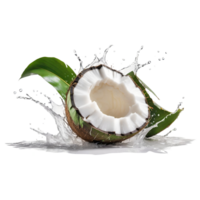 splash of coconut juice, Half open coconut with fresh white milk pouring from brown shell isolated on transparent background png