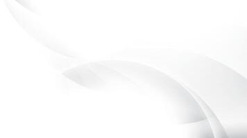 Abstract white and gray color, modern design stripes background with geometric round shape. illustration. vector
