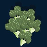 Cauliflower with leaves and stem drawing vector